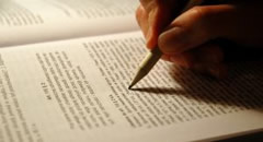 手机号接收平台